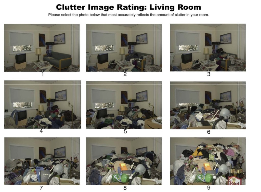 Clutter Scale - Click to Enlarge http://208.88.128.33/hoarding/
