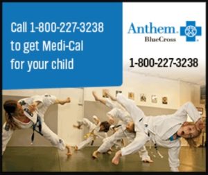 Call Blue Cross Direct - They don't pay me to help you with Medi-Cal