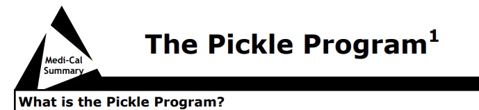 what is the pickle program