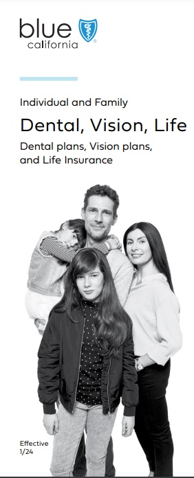 Dental Vision Life Brochure