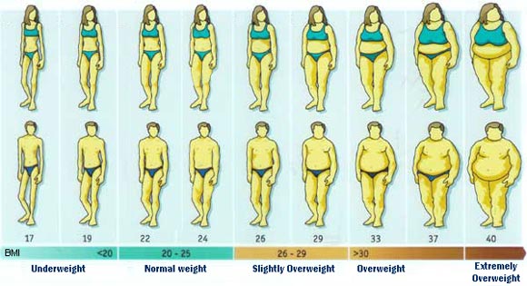 bmi visual graph