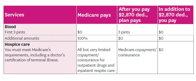 Plan G High Deductible Blood