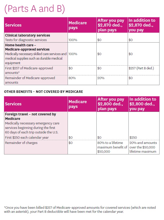 High G Medi Gap  Part A  clinical lab