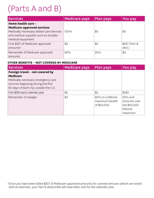 Plan G Parts A & B