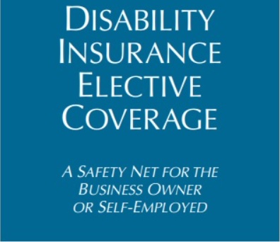 SDI for business owners